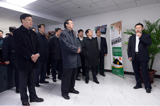 时任河南省省委书记郭庚茂（前排左二）、省长谢伏瞻（前排左一）莅临草莓在线免费观看集团指导工作